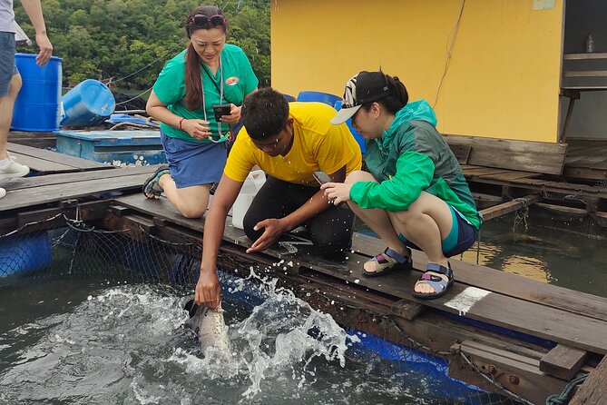 Langkawi Highlights Day Tour - ATV, Mangrove Cruise & Cable Car - Why this private Langkawi day works