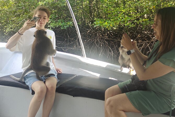 Langkawi Highlights Day Tour - ATV, Mangrove Cruise & Cable Car - Is $233.98 good value?