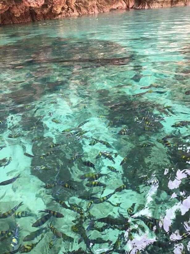 Langkawi Island: Hopping 5 in 1 Grand Tour - Pulau Singa Besar and the eagle show