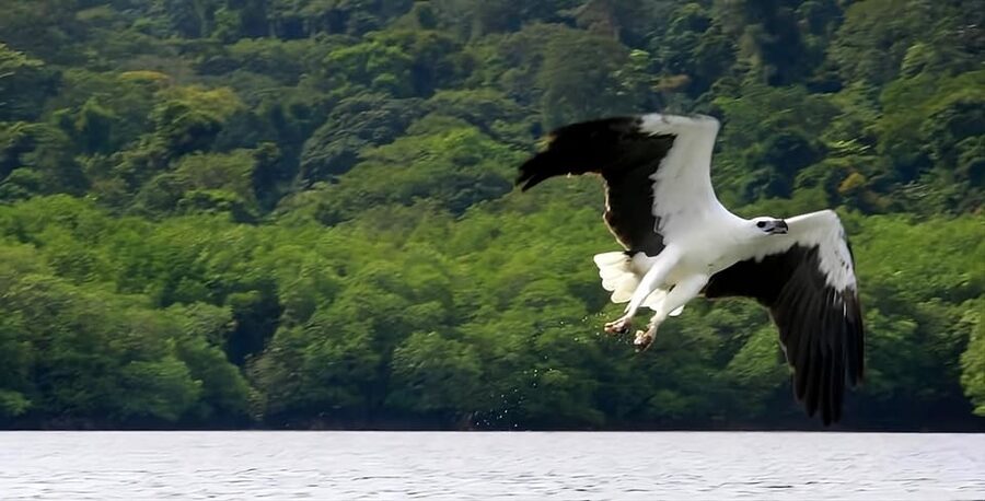 Langkawi: Island Hopping Shared or Private Boat Options - Is the tour good value?