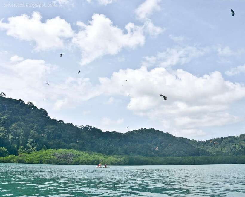 Langkawi: Island Hopping Tour - Singa Besar, wildlife, and the eagle viewing
