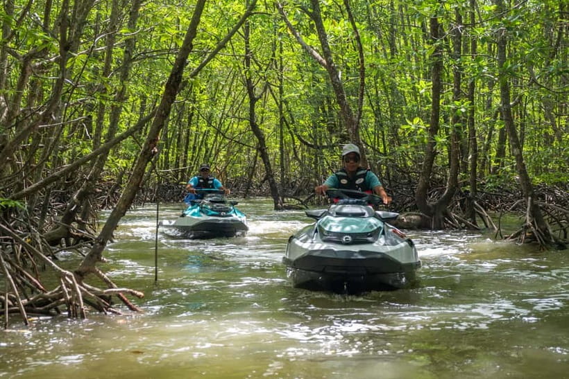 Langkawi: Jet Ski Tour UNESCO Kilim Geopark Free Video - Through the quiet mangroves of Kilim