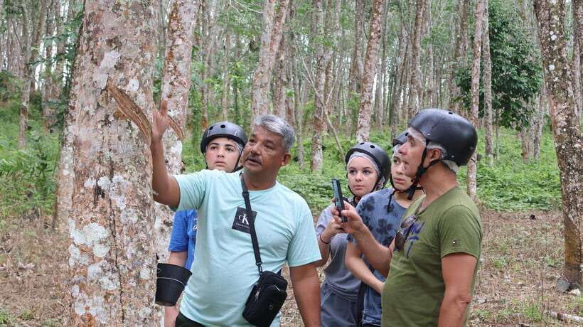 Langkawi Jungle and Waterfall Adventure - Forest trails with adjustable difficulty