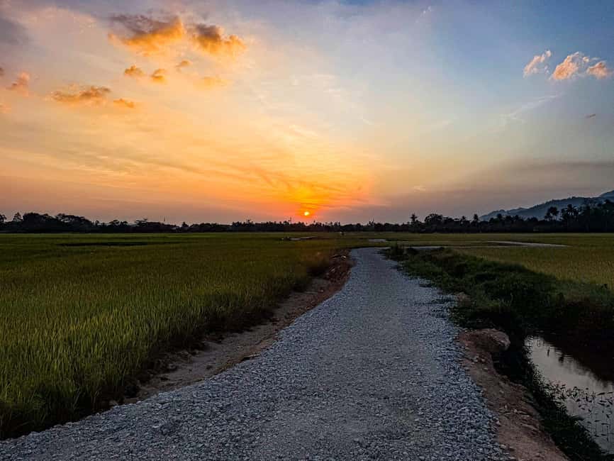 Langkawi Jungle and Waterfall Adventure (Golden Hour) - Rubber plantations and the story of latex