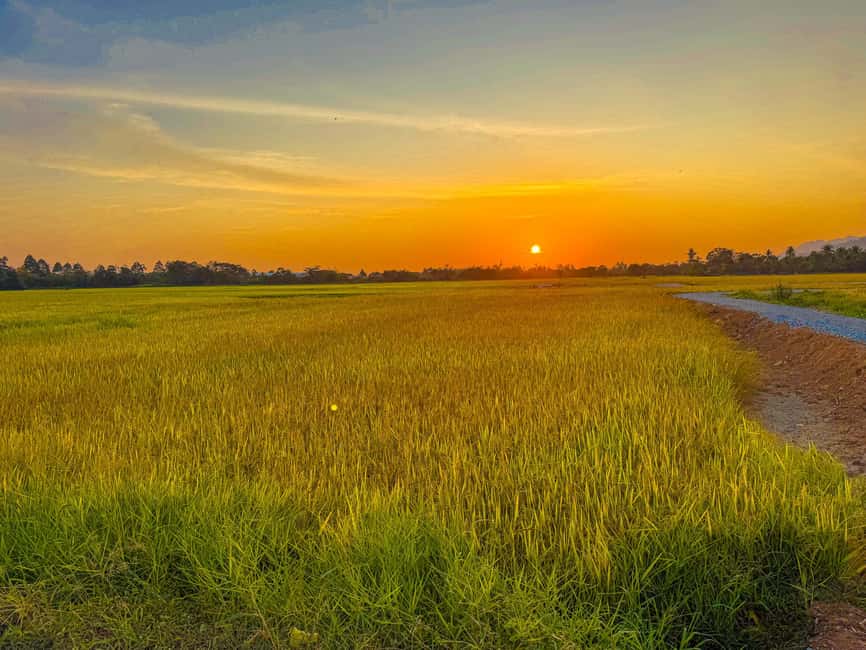 Langkawi Jungle and Waterfall Adventure (Golden Hour) - From village lanes to Langkawi farm country