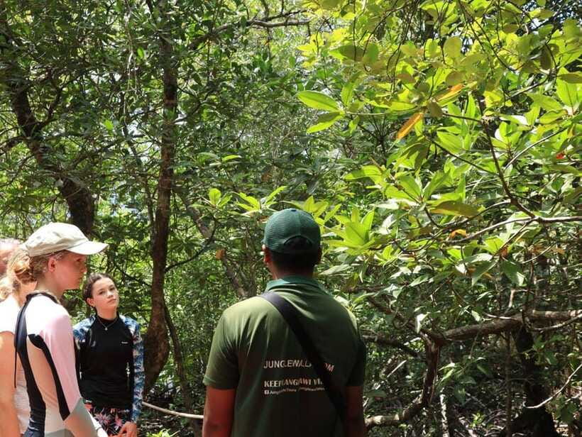 Langkawi: Kayaking Adventure and Swimming - Is the $48 price fair?