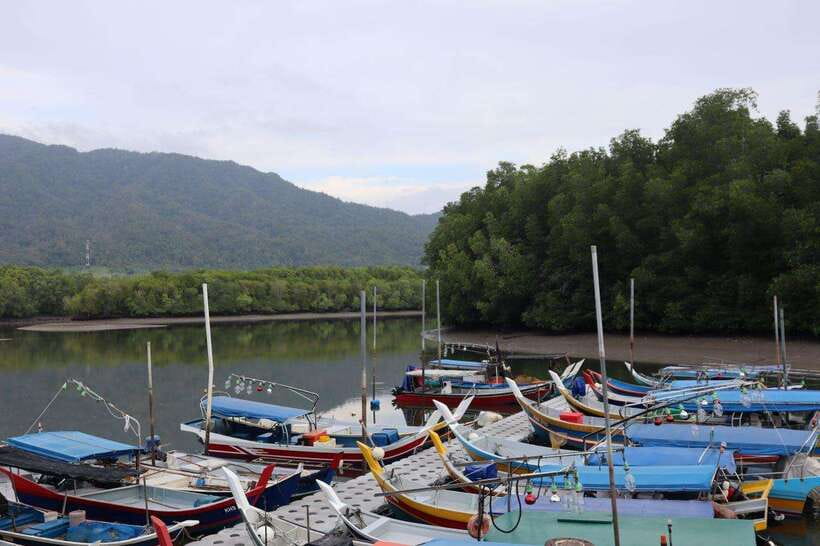 Langkawi: Kayaking Adventure and Swimming - Starting at the JungleWalla Kubang Badak Jetty