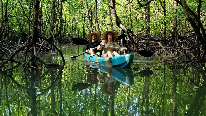 Langkawi : Kilim Geoforest Mangrove Kayak Tour with Lunch - Eagle watching without the feeding spectacle