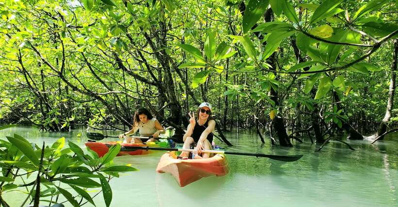 Langkawi : Kilim Geoforest Mangrove Kayak Tour with Lunch - Guide quality and the human side of the trip