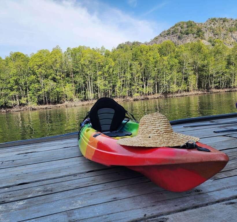 Langkawi : Kilim Geoforest Mangrove Kayak Tour with Lunch - Who should book this experience?