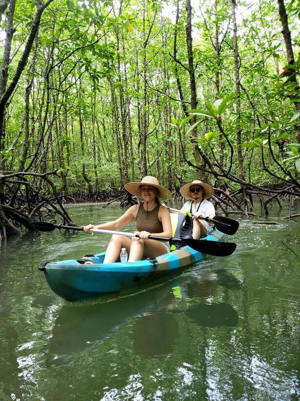 Langkawi : Kilim Geoforest Mangrove Kayak Tour with Lunch - Should you book the Kilim kayak tour?