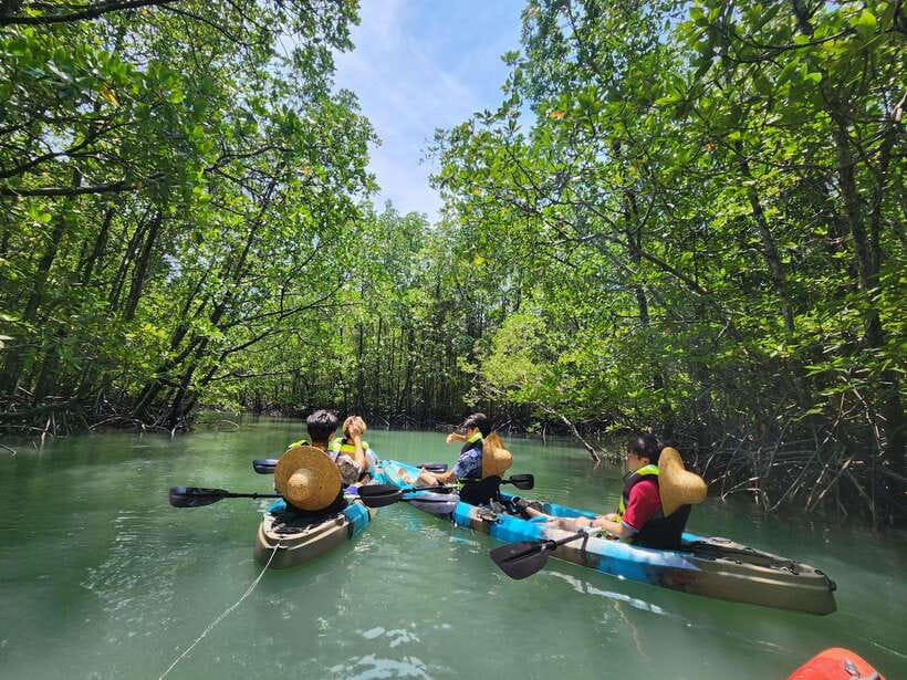 Langkawi : Kilim Mangrove Boat & Fun Kayak Tour with Lunch - Key points at a glance