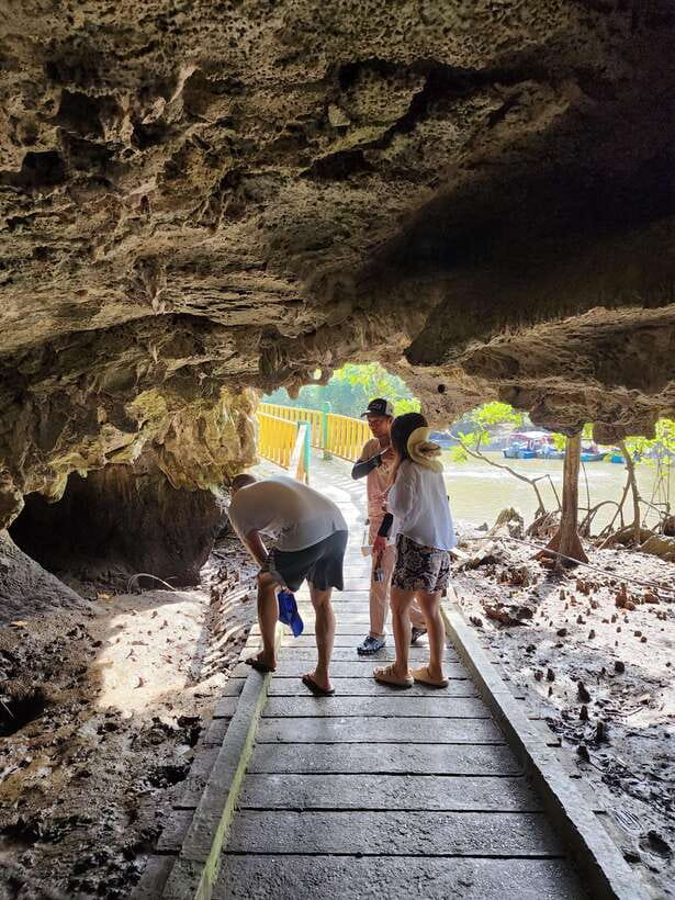 Langkawi : Kilim Mangrove Boat & Fun Kayak Tour with Lunch - The mangrove river cruise and the first wildlife views