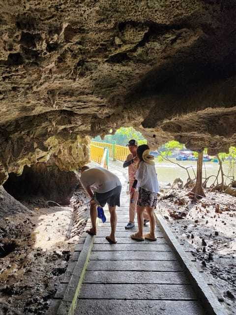 Langkawi : Kilim Mangrove Boat & Fun Kayak Tour with Lunch - Bat Cave, Crocodile Cave, and the stops between