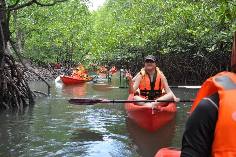 Langkawi: Kilim River Mangrove Safari Kayaking Tour - Bat Cave and the quiet animal encounters