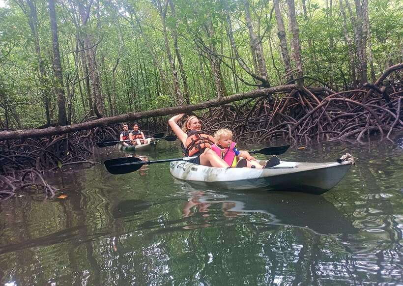 Langkawi: Kilim River Mangrove Safari Kayaking Tour - How much value you get for $71