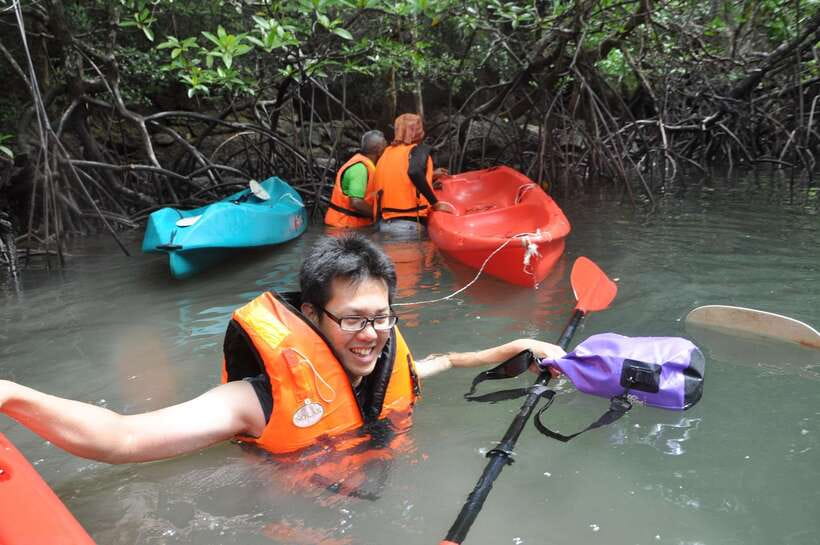Langkawi: Kilim River Mangrove Safari Kayaking Tour - Guides make the difference