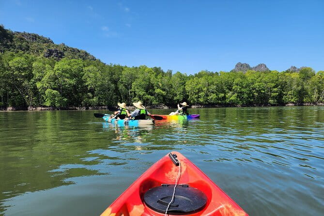 Langkawi Mangrove Kayak Tour by Sham - Why kayaking suits Langkawi’s mangroves