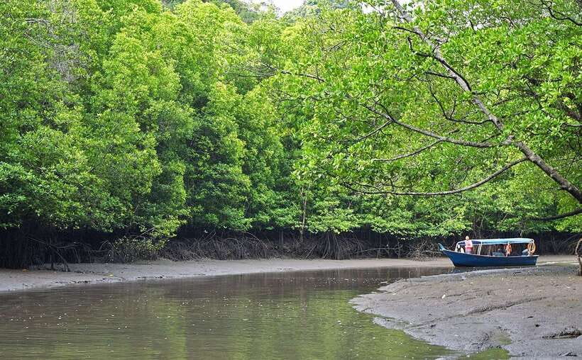Langkawi: Mangrove Kilim UNESCO Geopark & Cave Tour - Limestone cliffs and the open Andaman Sea