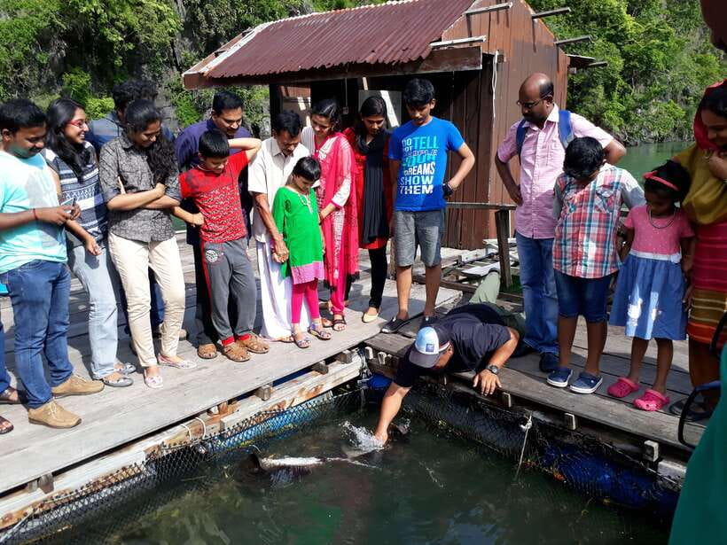 Langkawi: Mangrove Kilim UNESCO Geopark & Cave Tour - Guide quality can shape the whole day