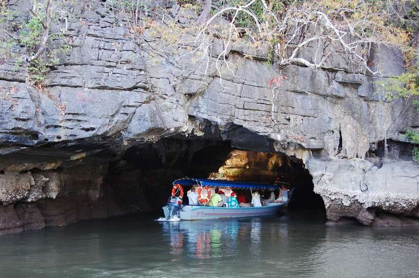 Langkawi: Mangrove Kilim UNESCO Geopark & Cave Tour - Eagles, monkeys, and the realities of wildlife viewing