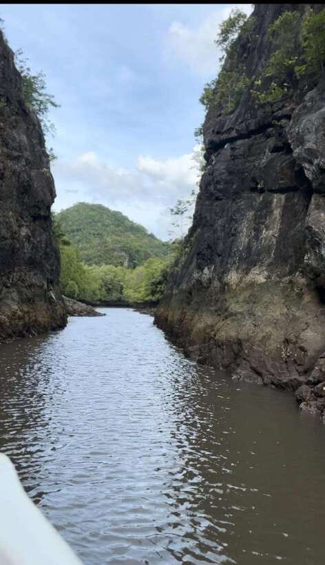 Langkawi Mangrove Monkey Package - Exploring Crocodile Cave and Bat Cave
