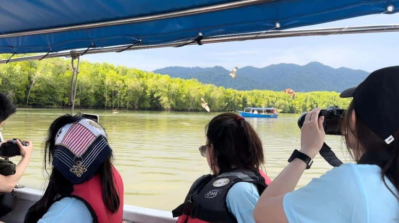 Langkawi Mangrove Monkey Package - Lunch, private trips, and group size