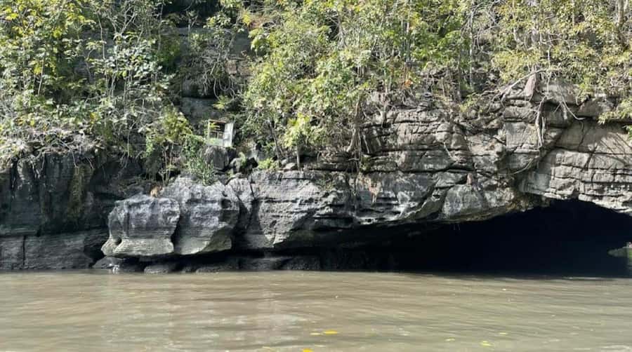 Langkawi Mangrove Tour : Estimated 3 hours Lunch Available - Bat Cave and the Limits of the Route