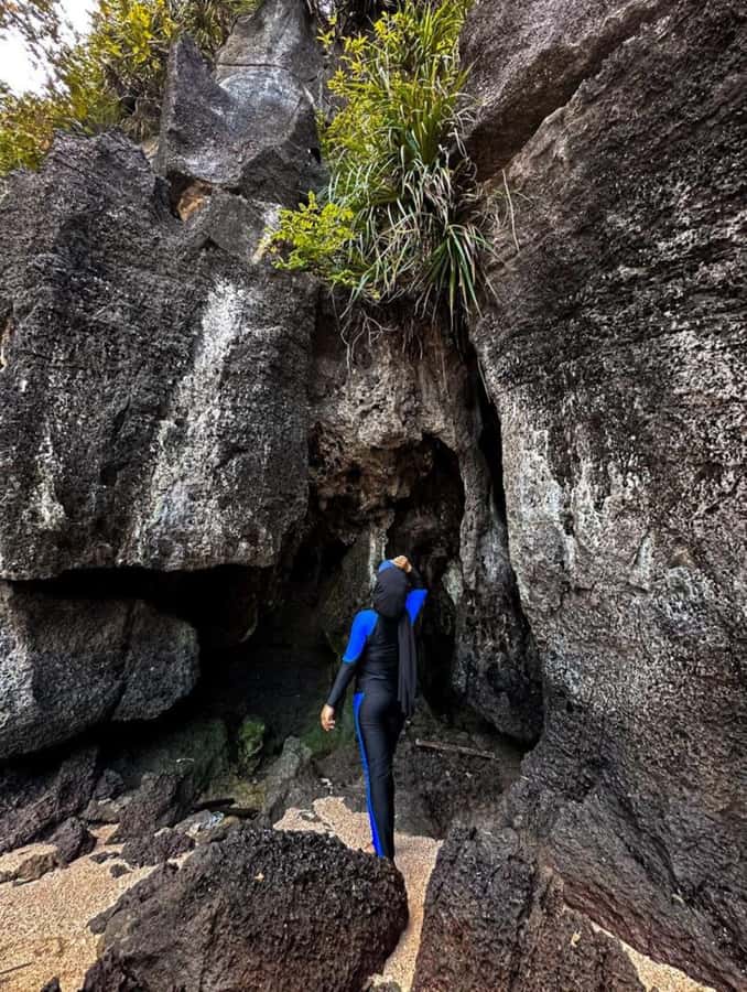Langkawi Mangrove Tour : Estimated 3 hours Lunch Available - Crocodile Cave and Tide-Dependent Access
