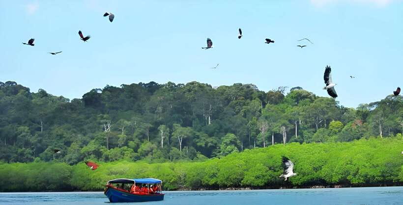 Langkawi: Mangrove Tour with Kilim Geoforest Park & Bat Cave - Tanjung Rhu views and the island beach