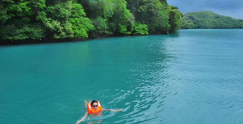 Langkawi: Mangrove Tour with Kilim Geoforest Park & Bat Cave - What you get for about $31