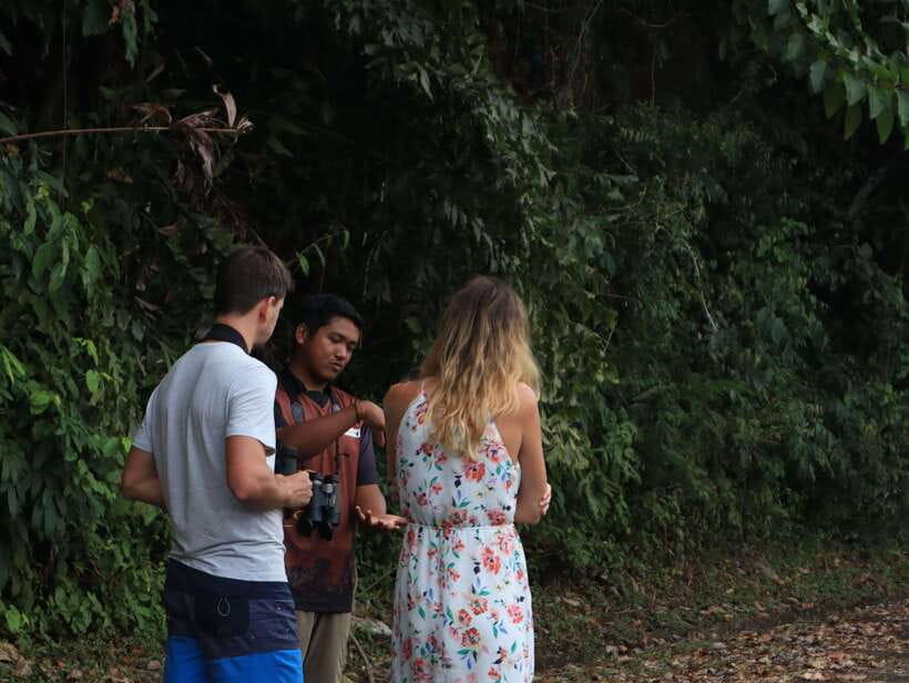 Langkawi: Nighttime Rainforest Tour with Nature Guide - Descending to Lubuk Semilang after dark