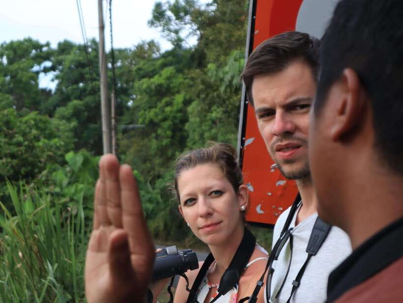 Langkawi: Nighttime Rainforest Tour with Nature Guide - What the $37 price covers