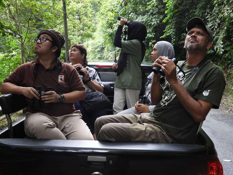 Langkawi: Nighttime Rainforest Tour with Nature Guide - Who will enjoy this outing most