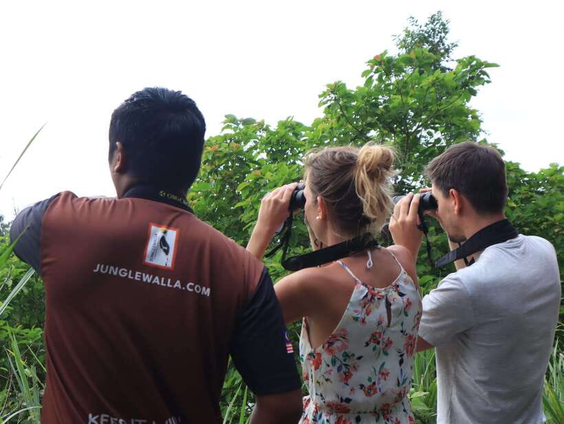 Langkawi: Nighttime Rainforest Tour with Nature Guide - Practical details before you book