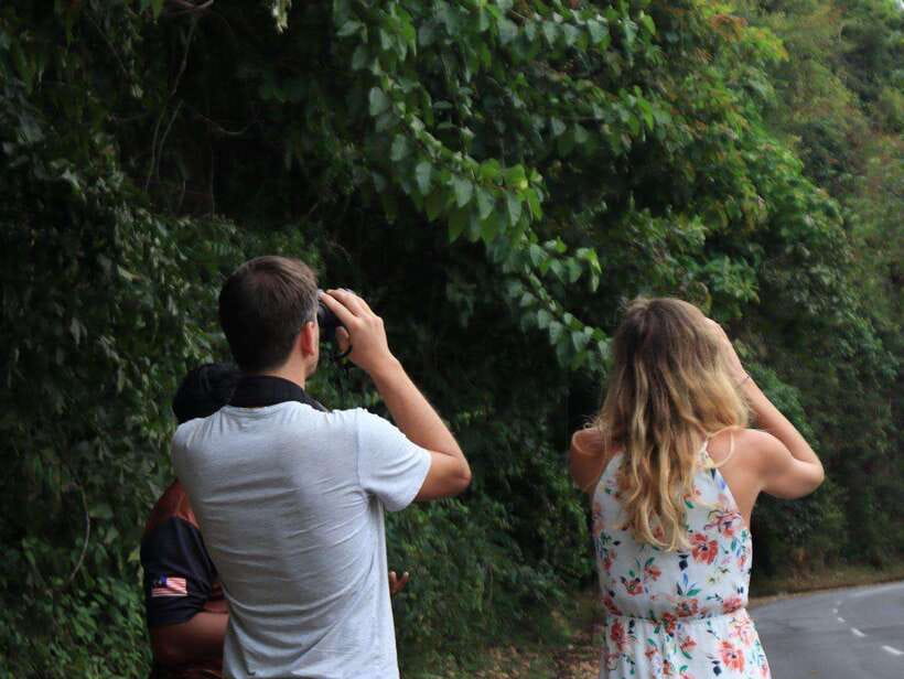 Langkawi: Nighttime Rainforest Tour with Nature Guide - Gunung Raya’s summit and the final light