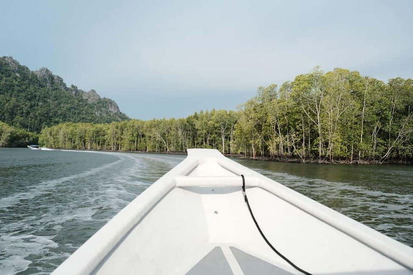 Langkawi: Private 2-Hour Mangrove Tour with Hotel Transfer - Cruising through the mangroves