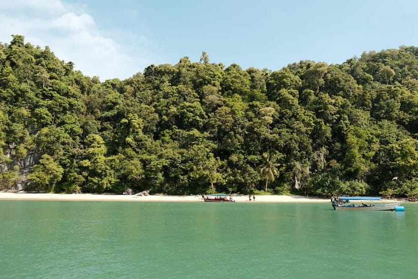 Langkawi: Private 2-Hour Mangrove Tour with Hotel Transfer - Who should book this Langkawi mangrove tour?