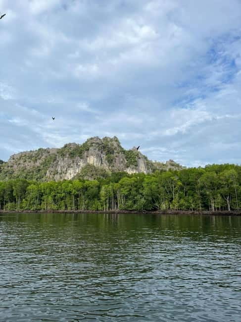 Langkawi: River Cruise and Sunset Cruise Lunch Available - Fish feeding and stingrays at the floating farm