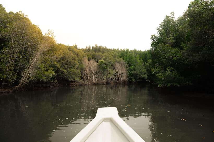 Langkawi Royal Mangrove Tour with Snorkeling Package - Who will enjoy this tour most
