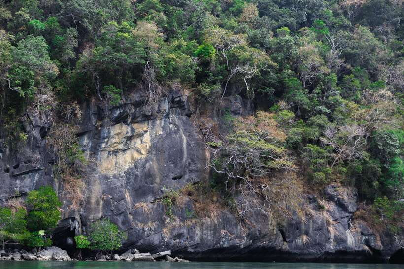 Langkawi Royal Mangrove Tour with Snorkeling Package - Practical preparation for a smoother ride