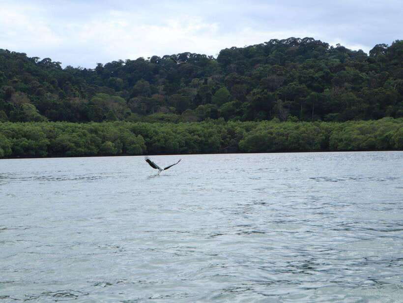 Langkawi: Southern Island Geopark Tour - Beras Basah Island and the final swim