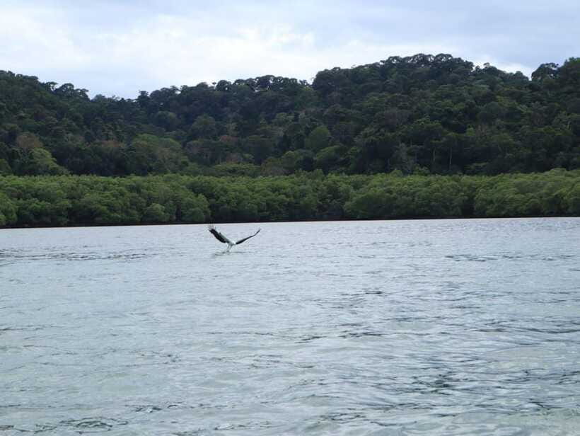 Langkawi: Southern Island Geopark Tour - What the $148 group price really buys
