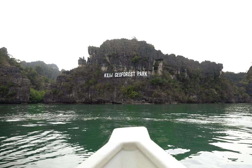 Langkawi Tanjung Rhu Mangrove Private Boat Tour 2 Hours - Bat Cave and its resident colonies