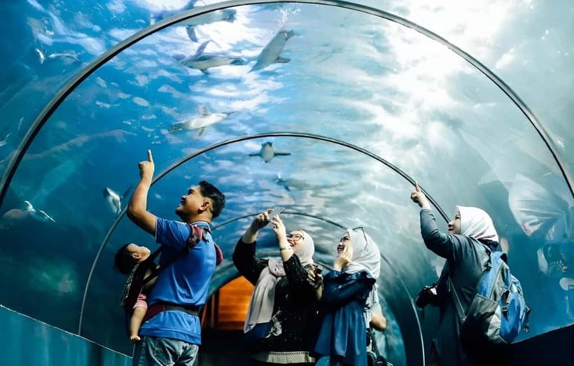 Langkawi: Underwater World Langkawi Entry Ticket - Inside Underwater World Langkawi