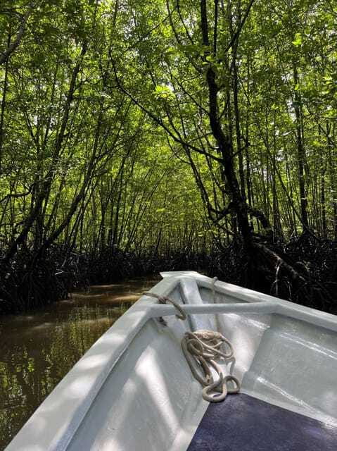 Langkawi: UNESCO Global Geopark Mangrove Cruise - Limestone cliffs and the open-water return