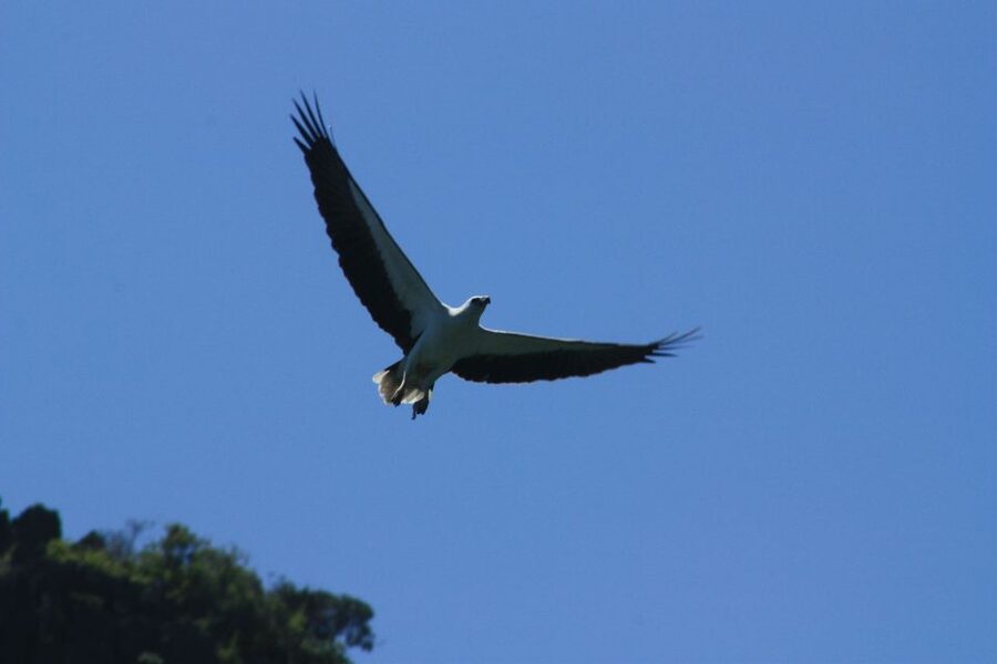 Langkawi: UNESCO Global Geopark Mangrove Cruise - The final 30 minutes: stopping, walking, and photographs