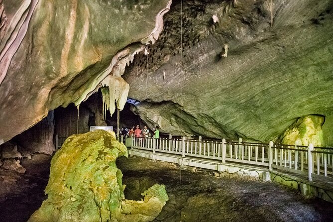 Langkawi UNESCO Kilim Geopark Mangrove & Bat Cave Tour - Why the Kilim mangroves are the main event