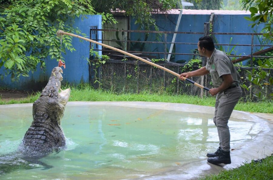 Langkawi: Wildlife Park Admission Ticket - Why the covered design matters in Langkawi