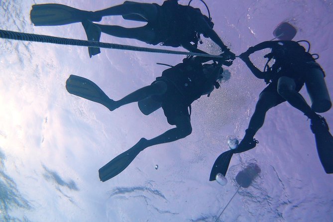 Learn to Dive | RAID Open Water 20 Diver Course | Kota Kinabalu - Tunku Abdul Rahman Marine Park as your classroom